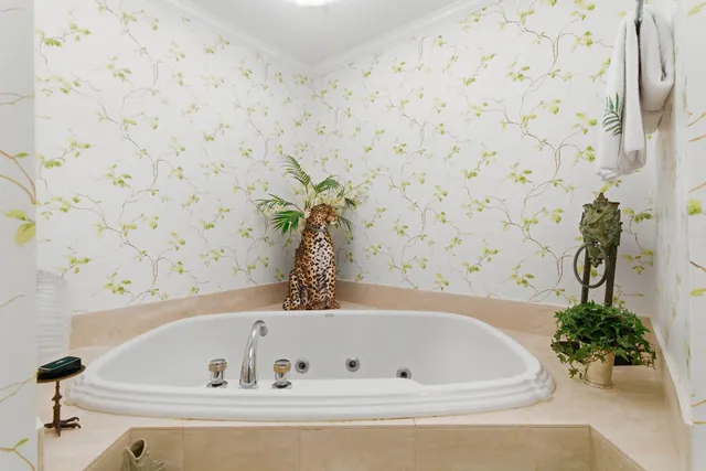 a bathroom with a bathtub