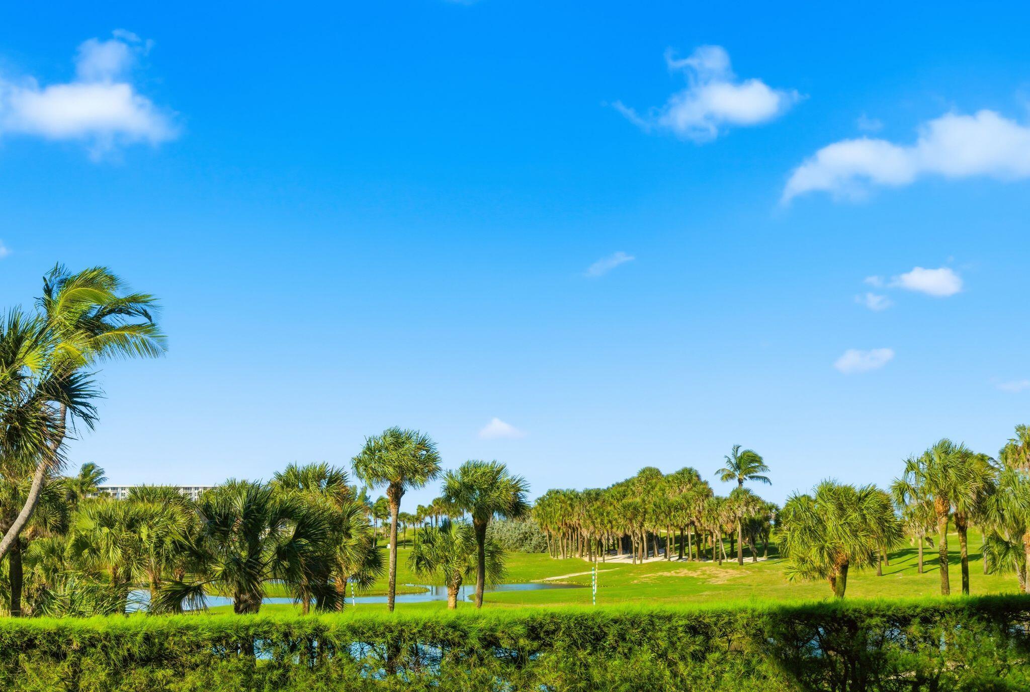 2500 South Ocean Boulevard, Unit 1A1 Palm Beach, FL 33480 - Photo 28 of 34 a view of a city