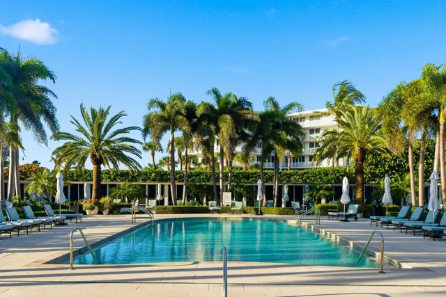 a view of a swimming pool with palm trees