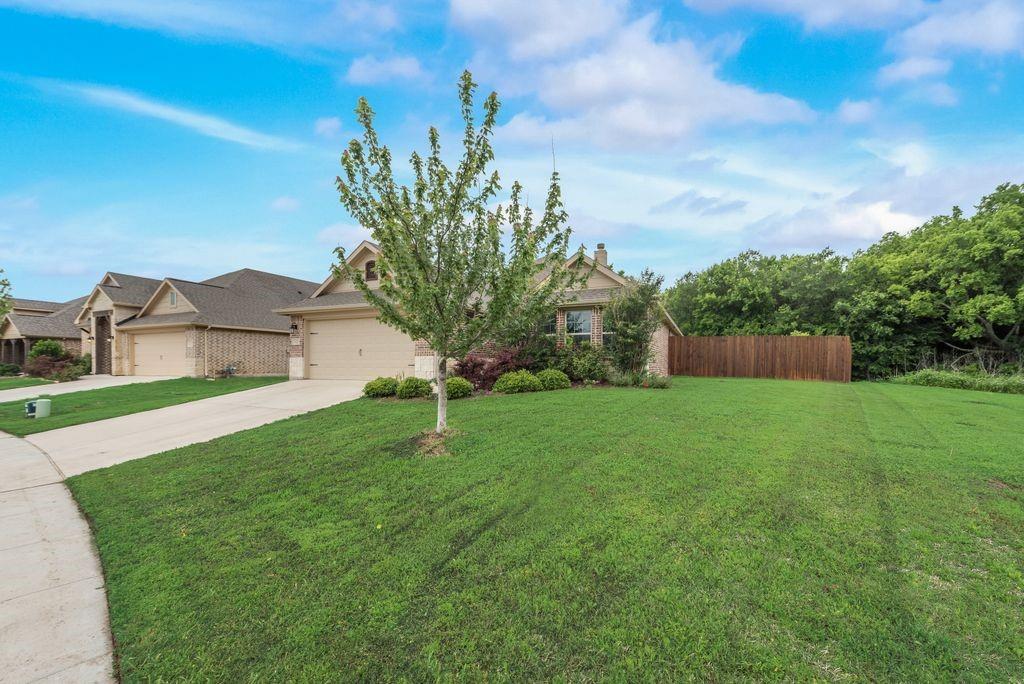 a view of a garden with a house in the background