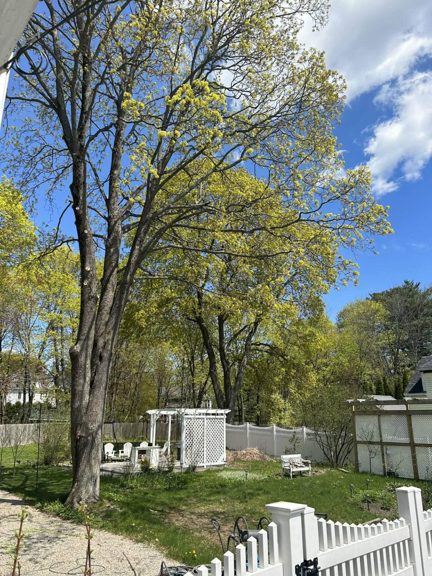 431 Hammond Street Bangor, ME 04401 - Photo 75 of 75 bU7D2zma