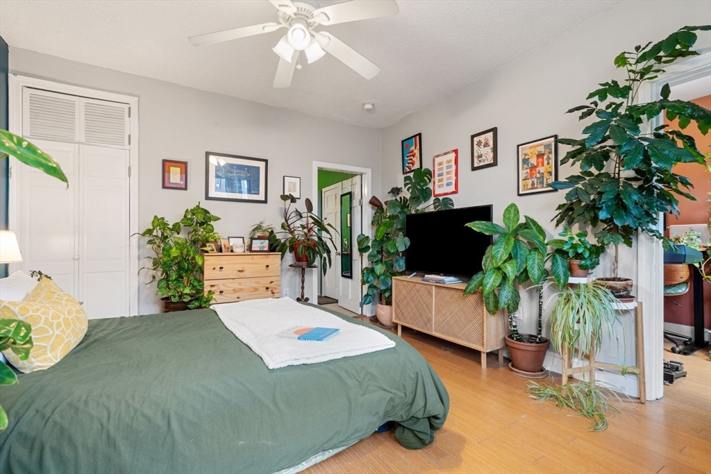 377 Dorchester Street, Unit 2 Boston, MA 02127 - Photo 2 of 18 a bedroom with a bed and a potted plant