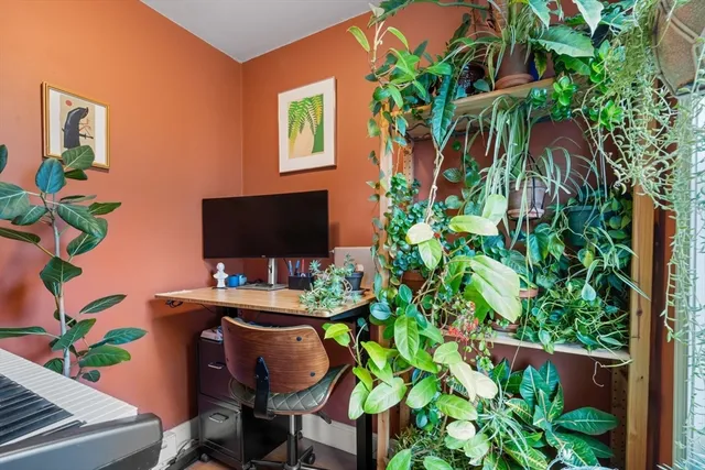 a backyard with table and a potted plant