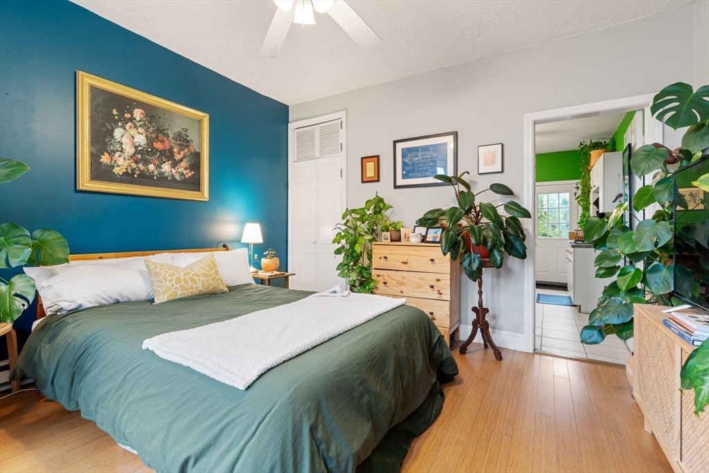 377 Dorchester Street, Unit 2 Boston, MA 02127 - Photo 5 of 18 a bedroom with a large bed a potted plant and a window