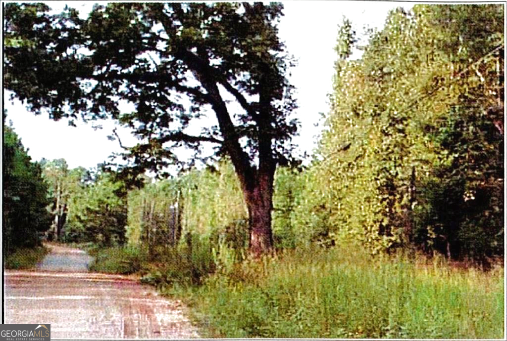 0 Felton Mcmichael Rd & Hayes - Landlot 090 Road Monticello, GA 31064 - Photo 5 of 7