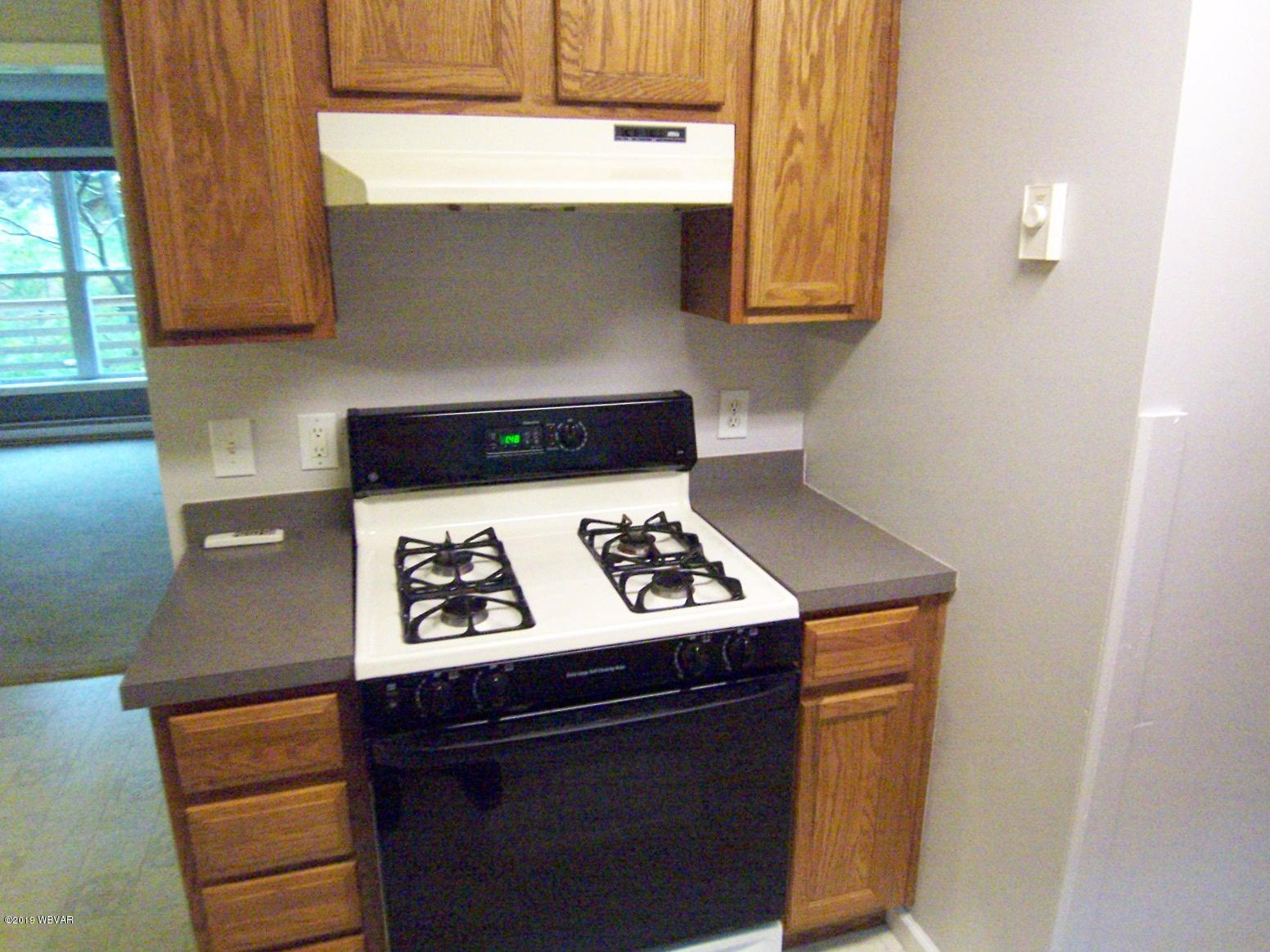481 Kinley Road Cogan Station, PA 17728 - Photo 47 of 68 Gallery Image 47
