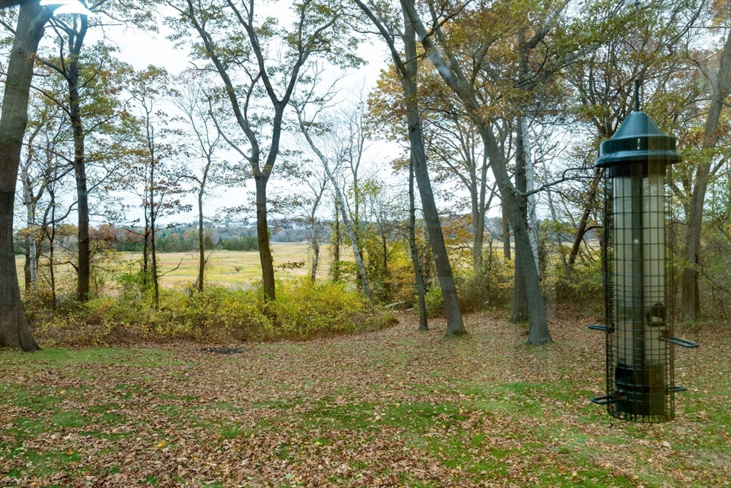 6 Island Park Road Ipswich, MA 01938 - Photo 14 of 41 a view of a garden