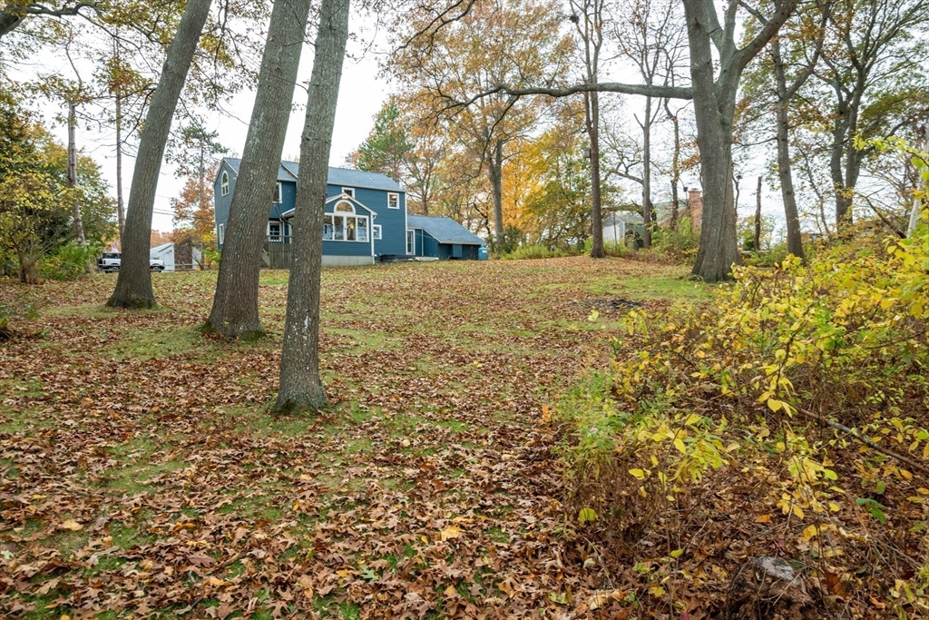 6 Island Park Road Ipswich, MA 01938 - Photo 40 of 41 a tree in the middle of a yard