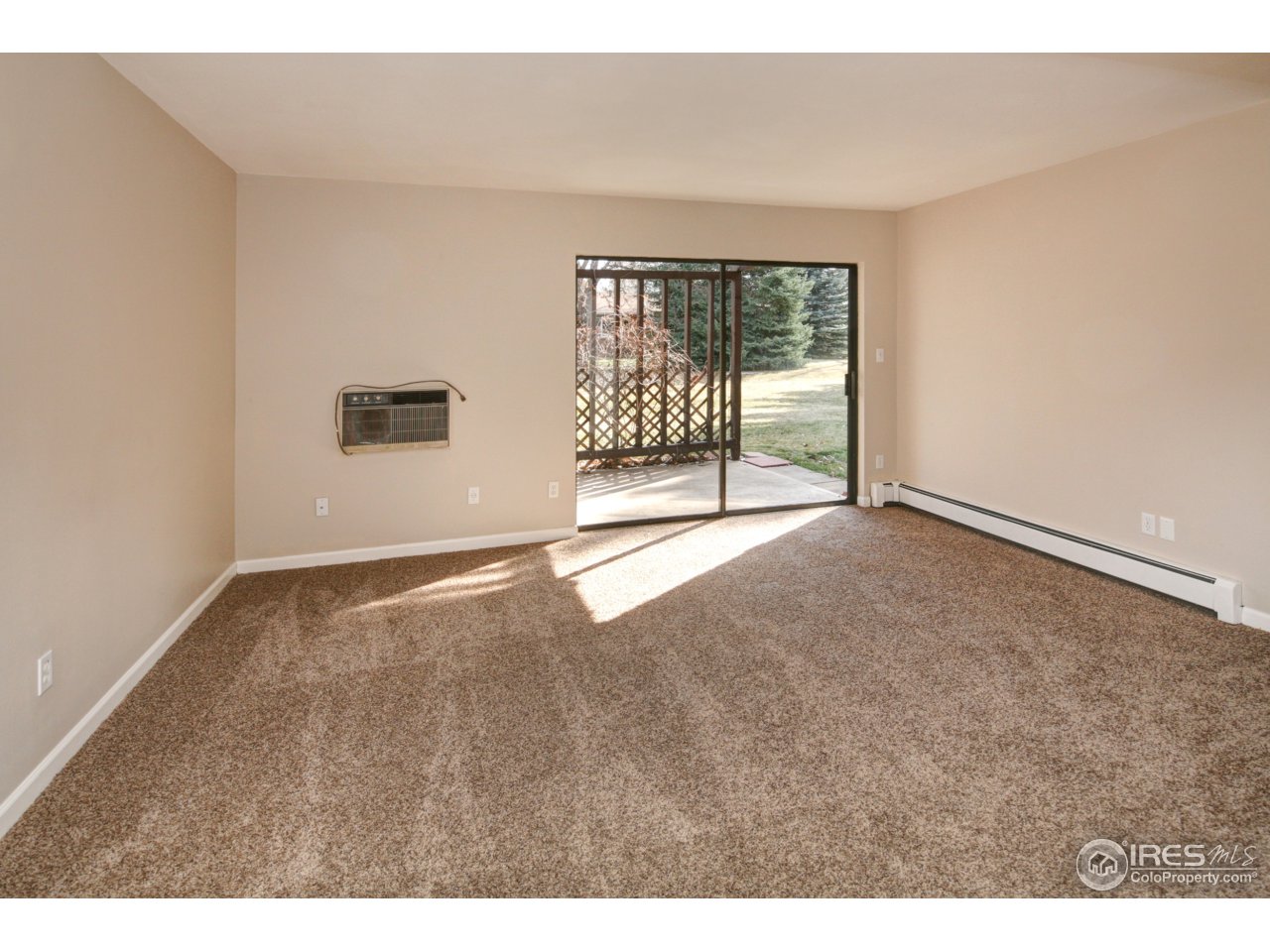 New Carpet & Interior Paint