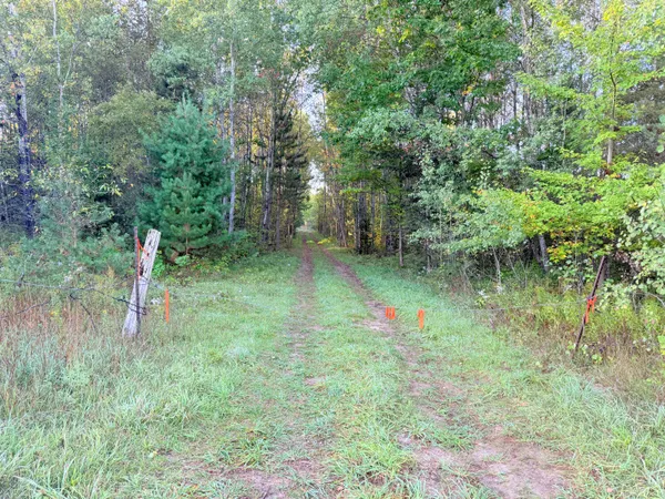 $159,000 | V/l East 38 Road, Cadillac, MI 49601