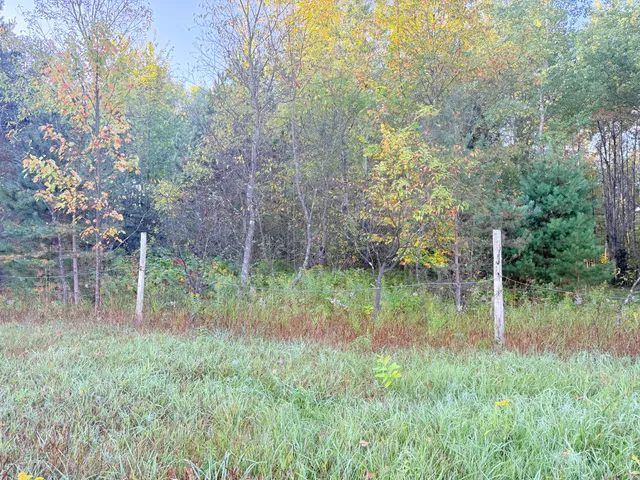 $159,000 | V/l East 38 Road, Cadillac, MI 49601