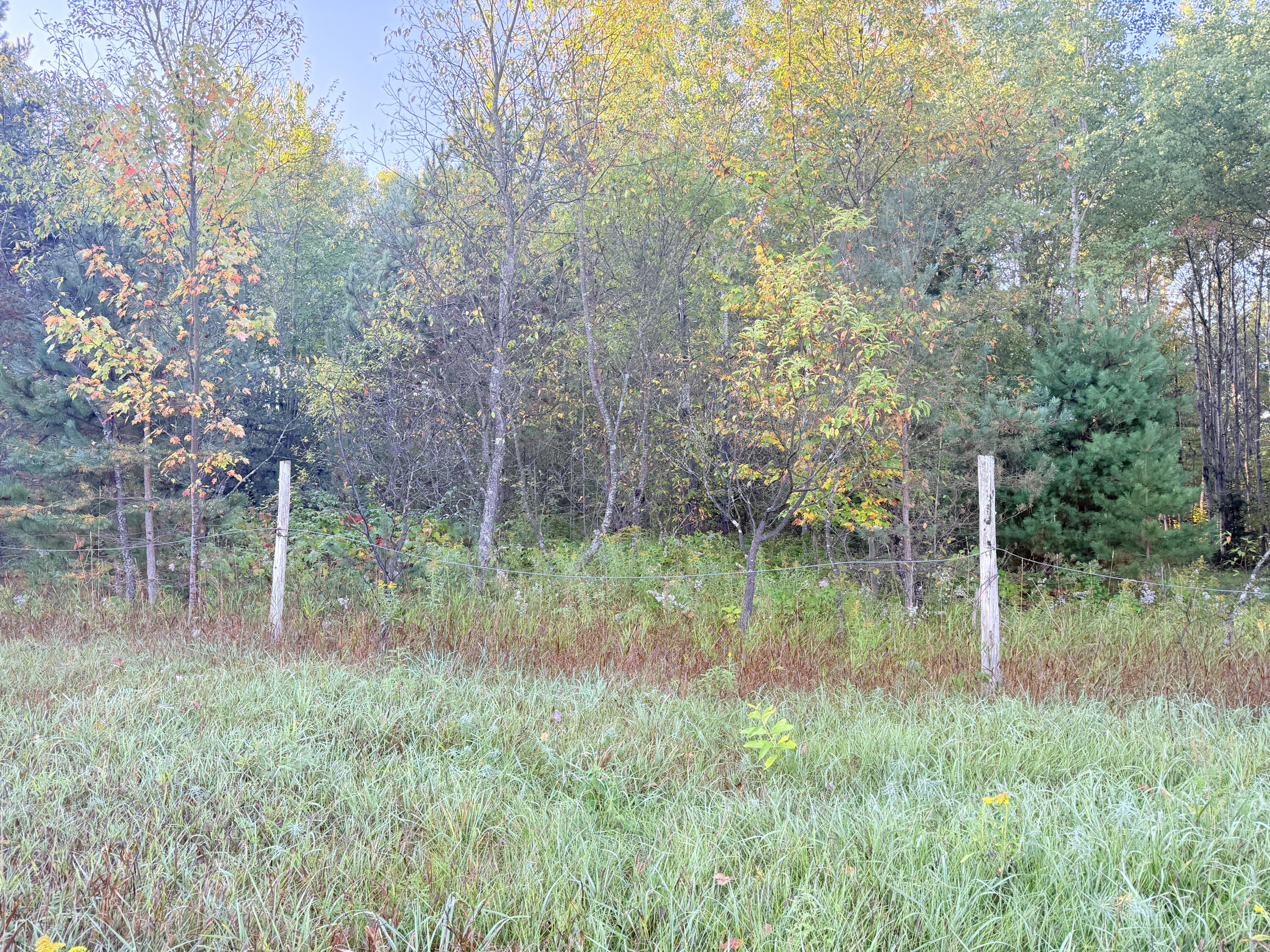 V/l East 38 Road Cadillac, MI 49601 - Photo 2 of 5 IMG_1277