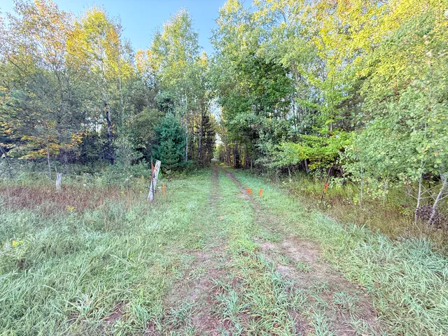 $159,000 | V/l East 38 Road, Cadillac, MI 49601