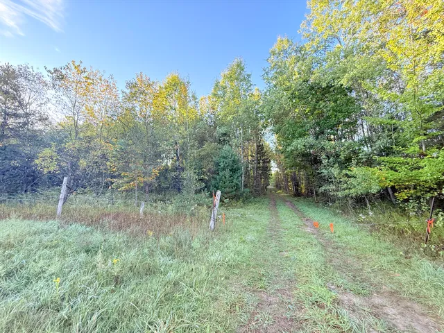 $159,000 | V/l East 38 Road, Cadillac, MI 49601