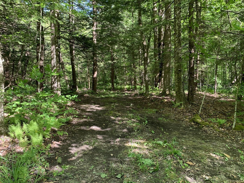 0 Watson Road Becket, MA 01223 - Photo 13 of 22