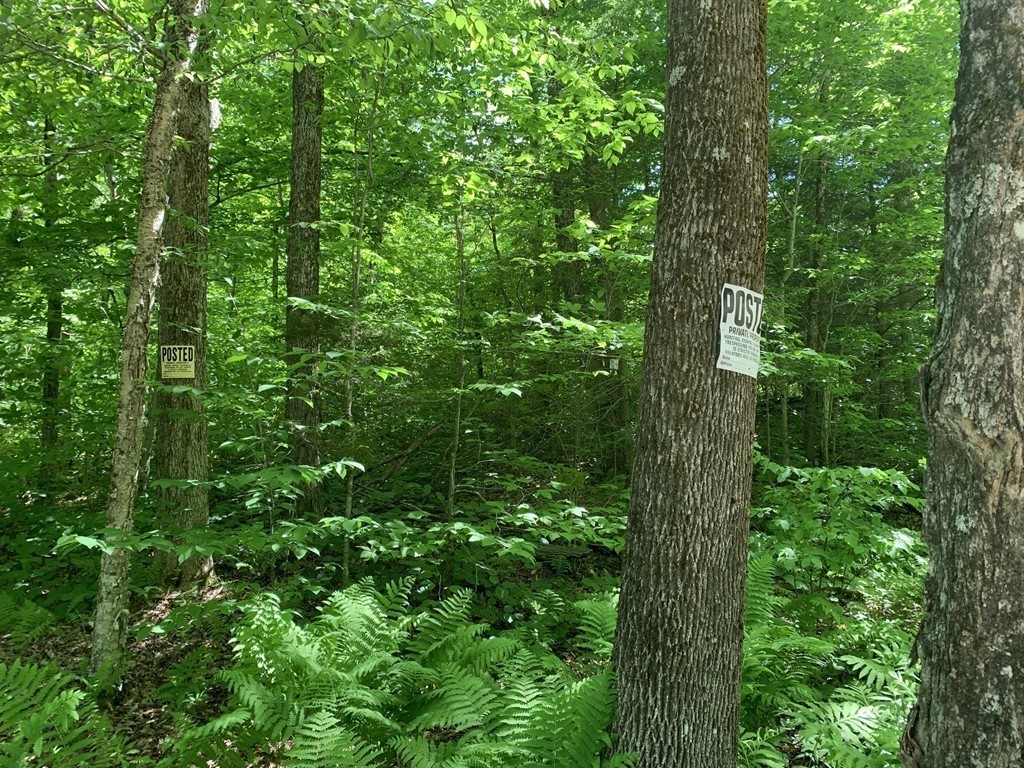0 Watson Road Becket, MA 01223 - Photo 19 of 22