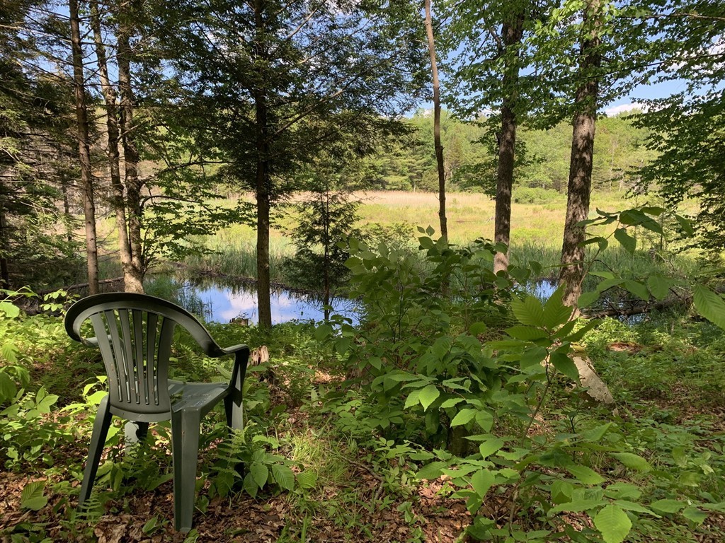 0 Watson Road Becket, MA 01223 - Photo 3 of 22