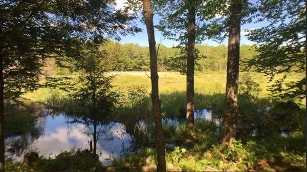 0 Watson Road Becket, MA 01223 - Photo 4 of 22