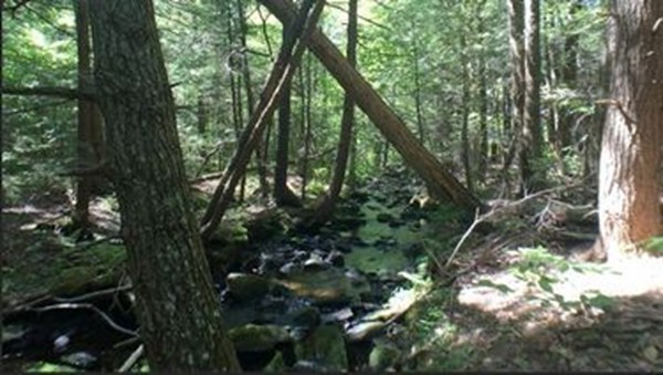 0 Watson Road Becket, MA 01223 - Photo 6 of 22