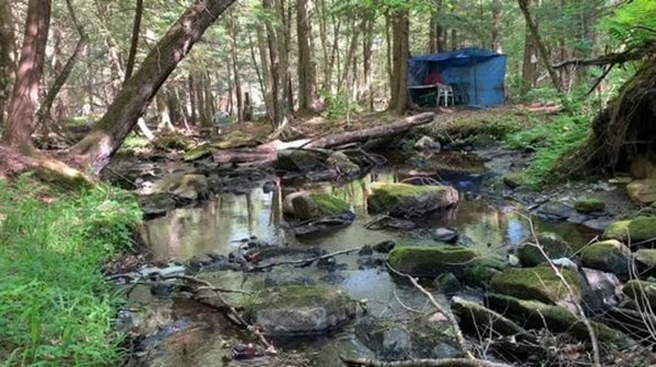 0 Watson Road Becket, MA 01223 - Photo 8 of 22