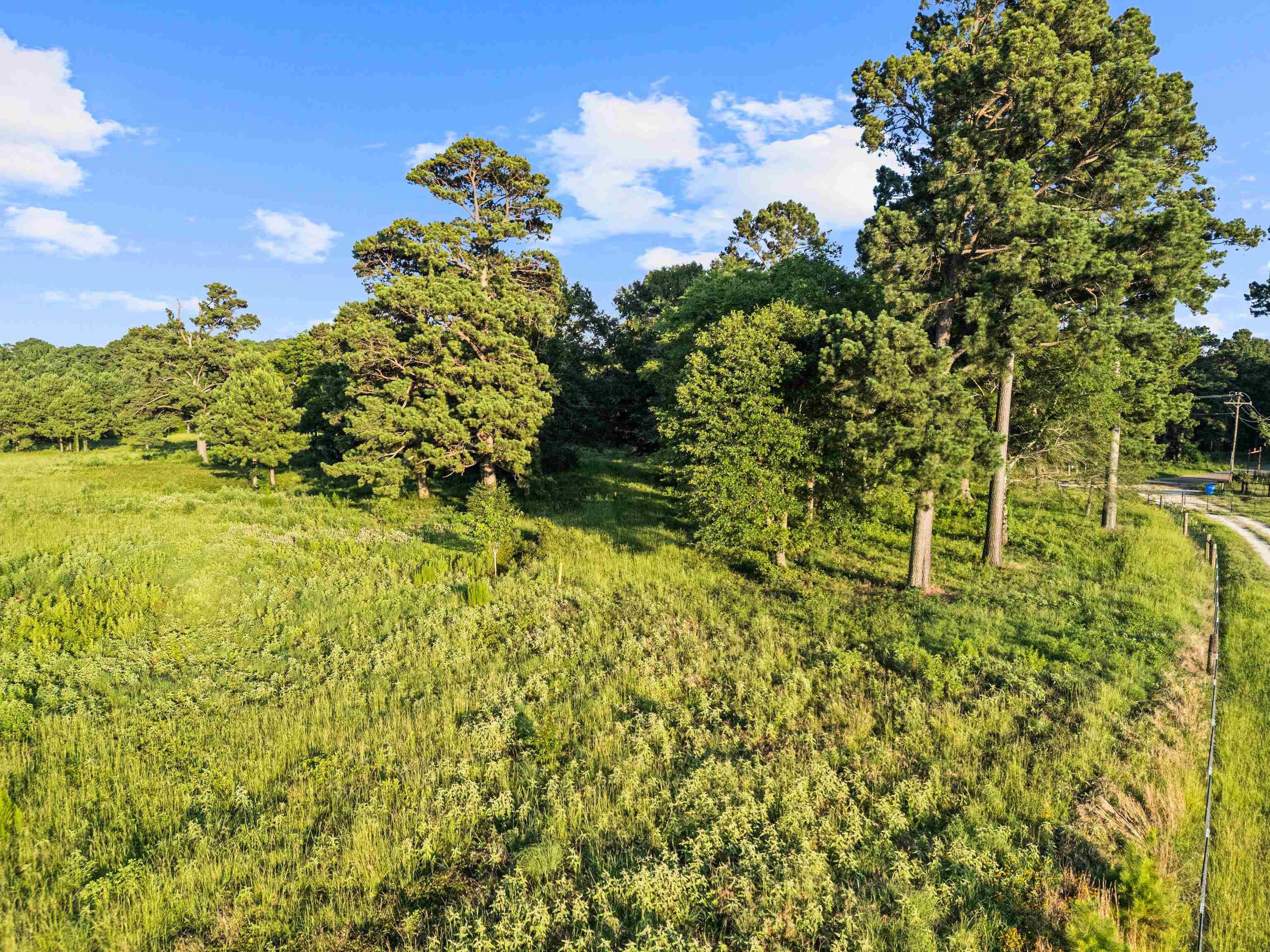 Tbd Peter Bonner Road Hallsville, TX 75650 - Photo 1 of 1 Gallery Image 1