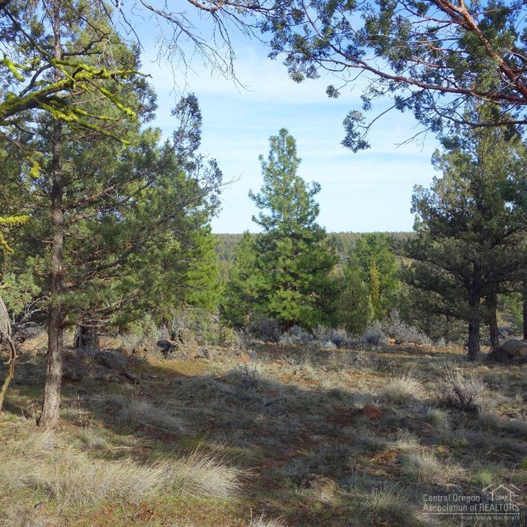17705 Mountain View Road Sisters, OR 97759 - Photo 2 of 20 Additional Photo