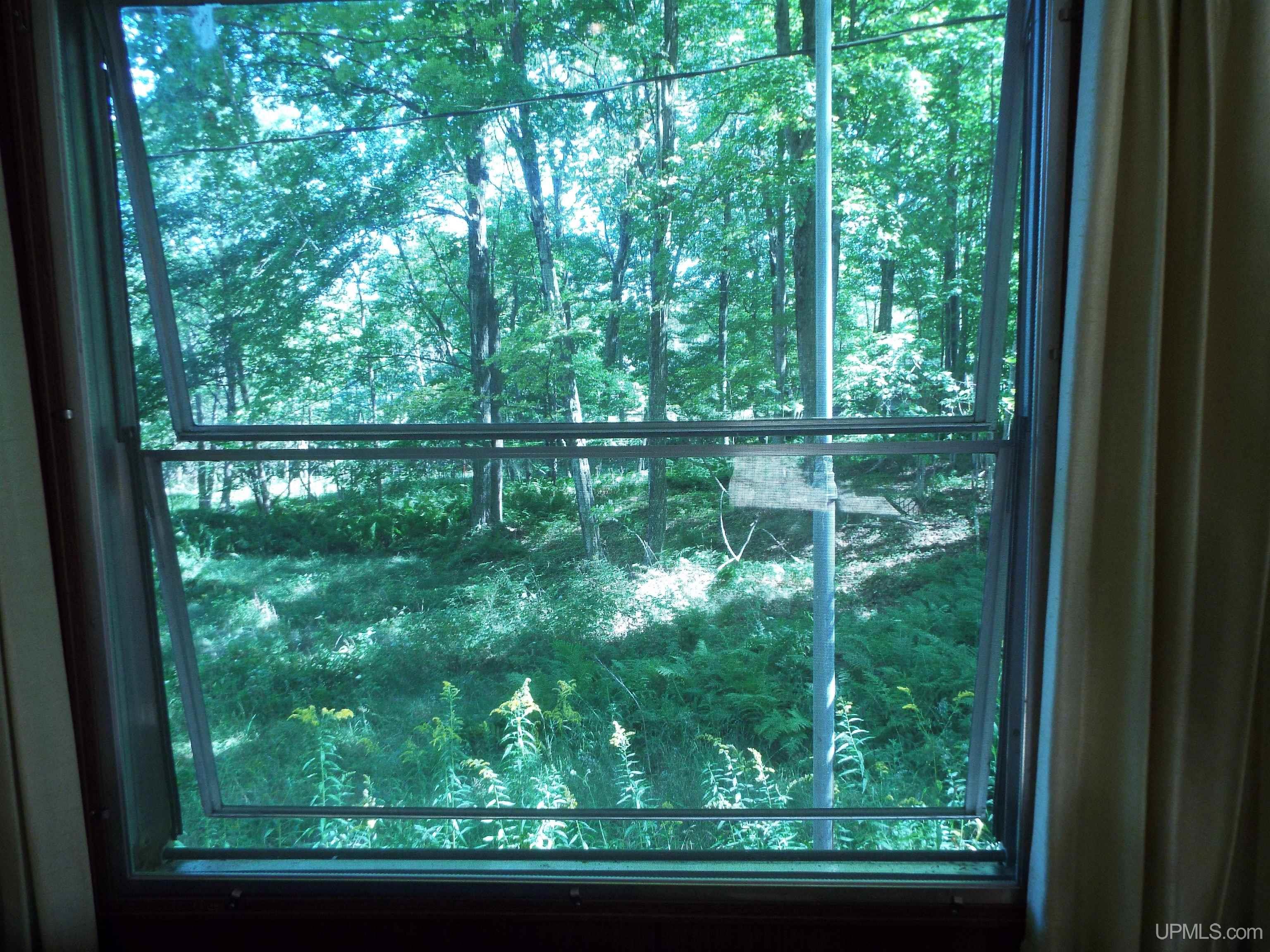 9561 Perch Bay Road Manistique, MI 49854 - Photo 14 of 18 Gallery Image 14