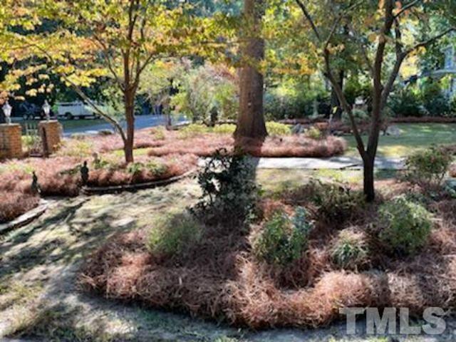 1164 Keith Hills Road Lillington, NC 27546 - Photo 15 of 47 a view of a tree in the middle of a yard