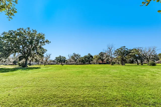 a view of a big yard with a trees