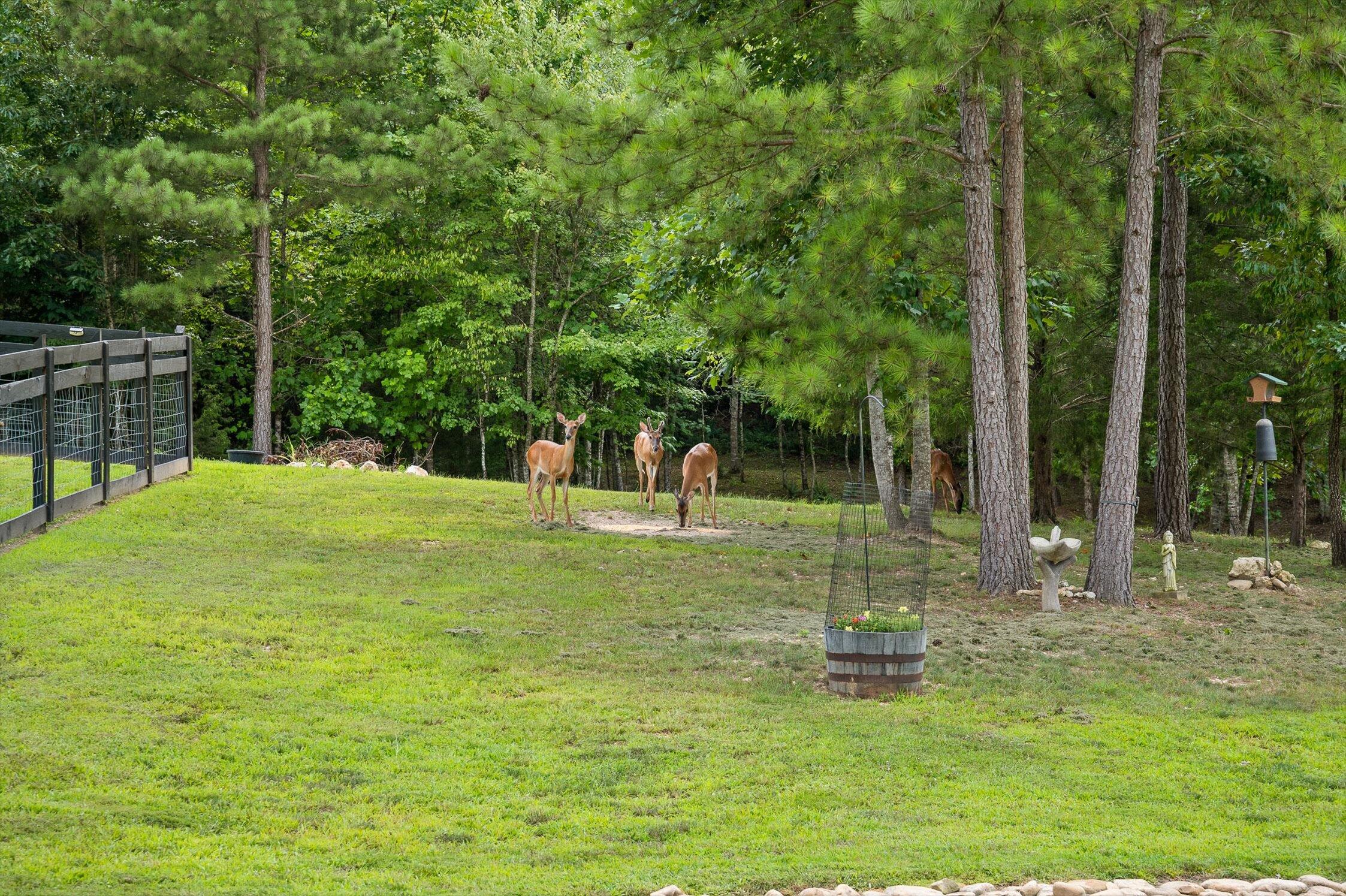 3767 Lee Pike Soddy Daisy, TN 37379 - Photo 41 of 58 15-Lee-15
