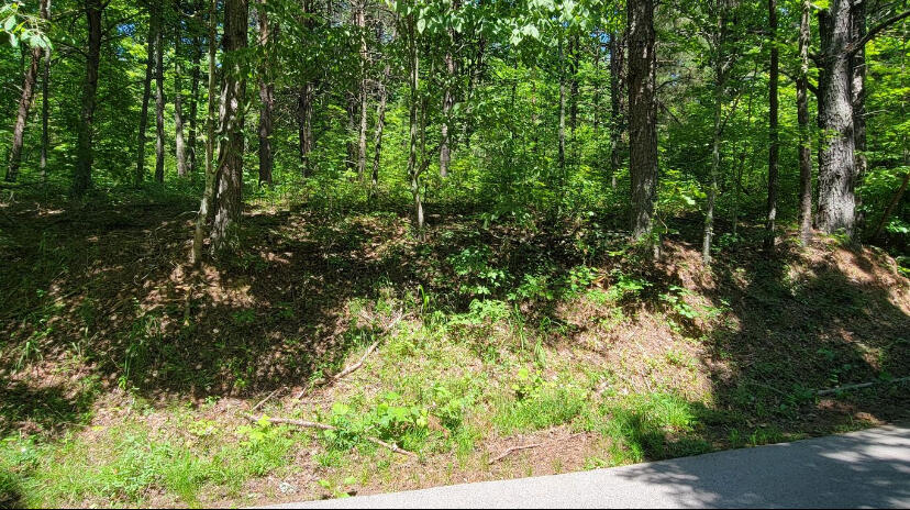 4100 Hazel Patch Road East Bernstadt, KY 40729 - Photo 2 of 4 IMG_4990