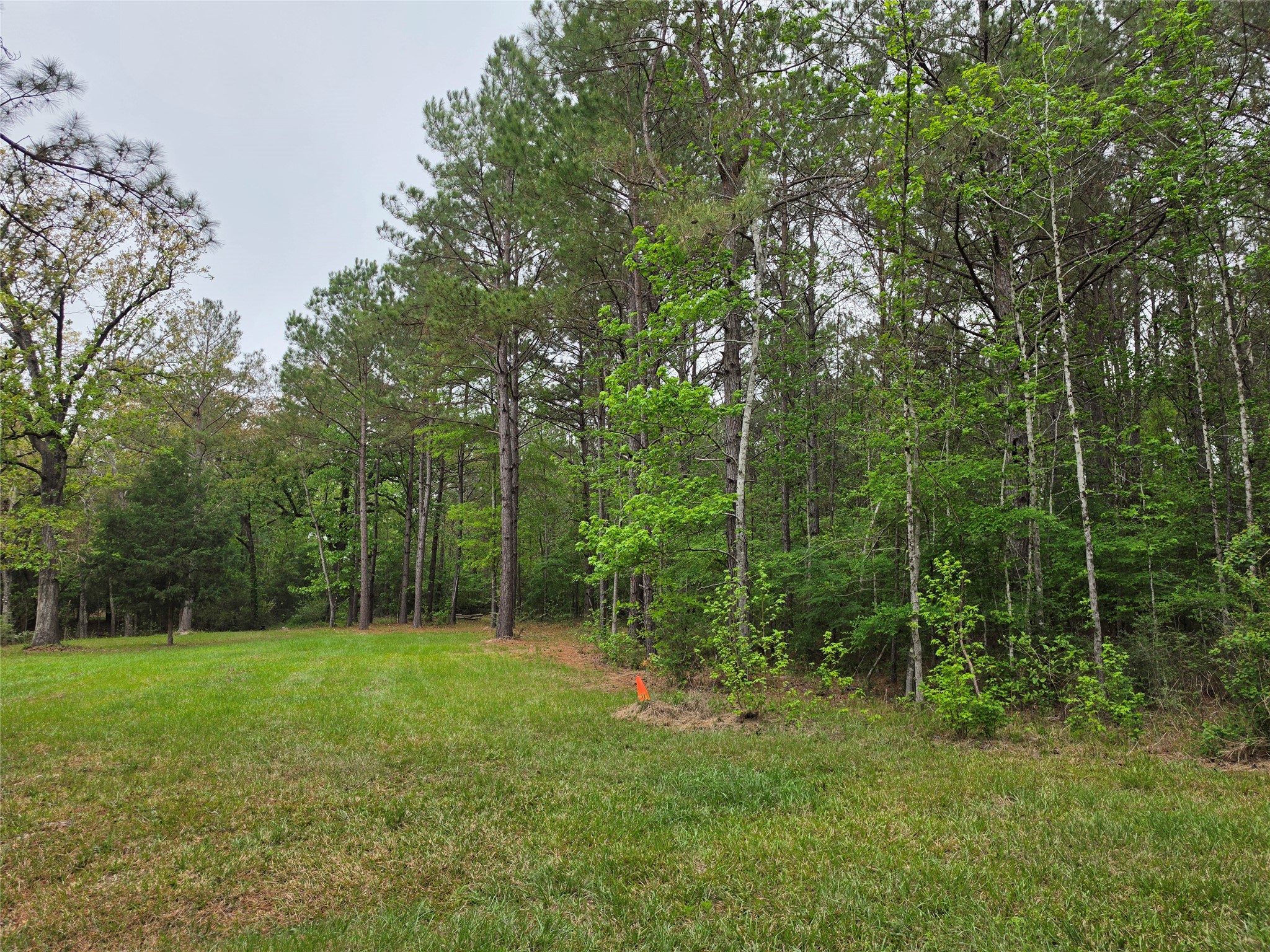 186 Blythe Road Lufkin, TX 75901 - Photo 14 of 29 a view of green field with trees in the background