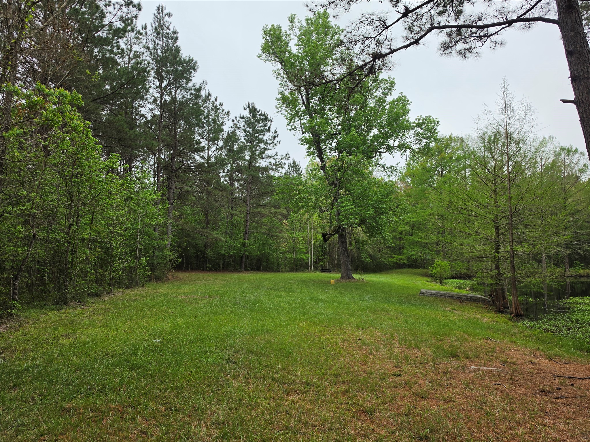 186 Blythe Road Lufkin, TX 75901 - Photo 15 of 29 a view of an outdoor space with a lake view