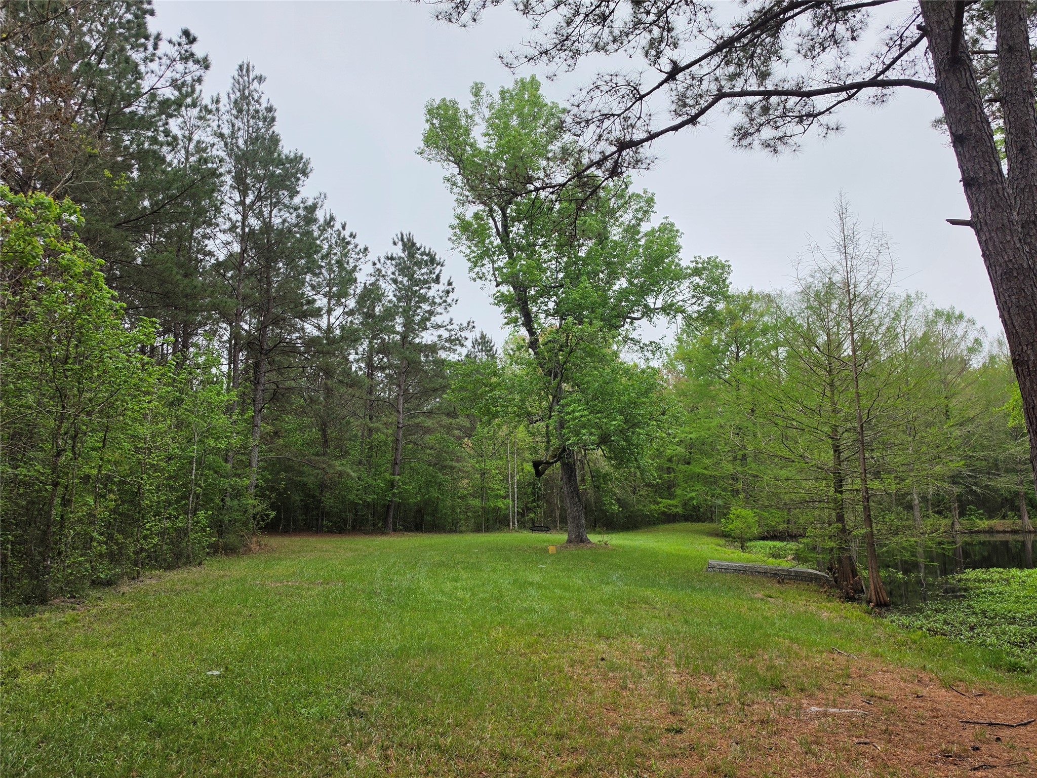 186 Blythe Road Lufkin, TX 75901 - Photo 16 of 29 a view of a yard with a tree