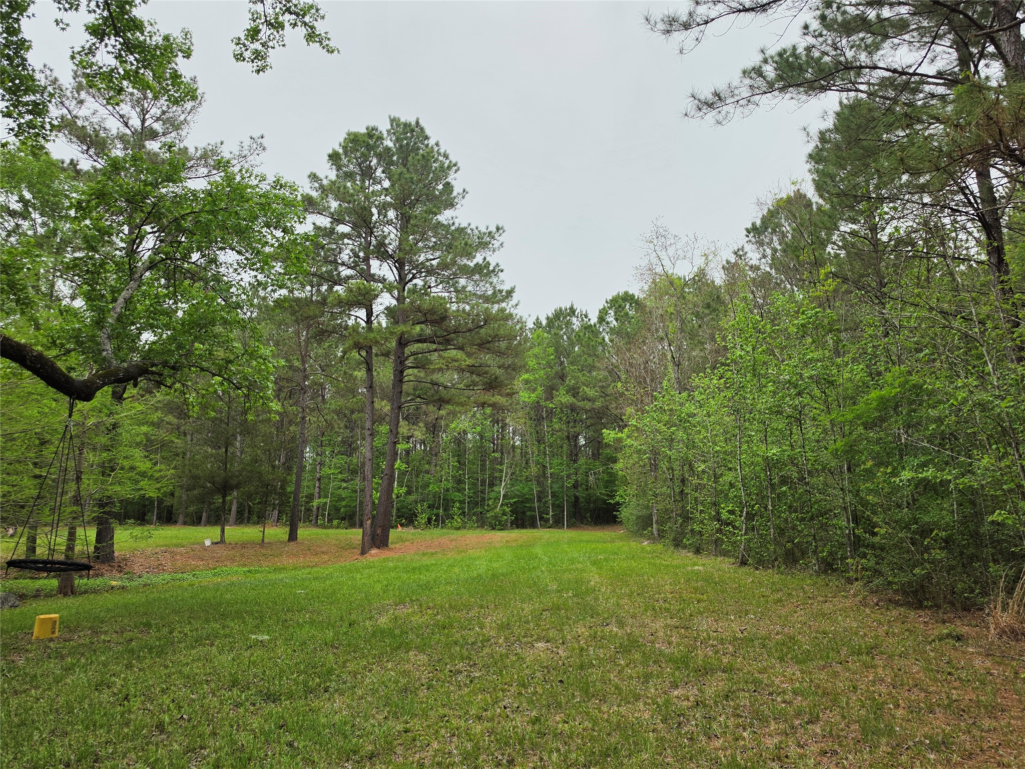 186 Blythe Road Lufkin, TX 75901 - Photo 20 of 29 a view of a field with trees in the background