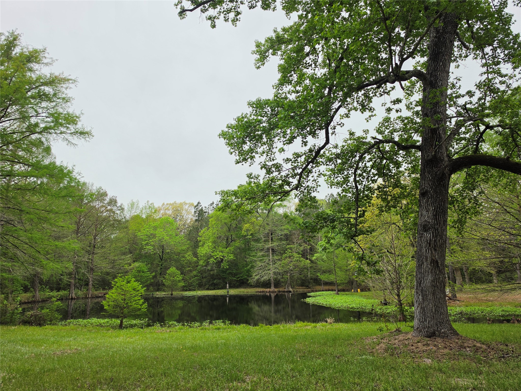 186 Blythe Road Lufkin, TX 75901 - Photo 21 of 29 a view of outdoor space and yard