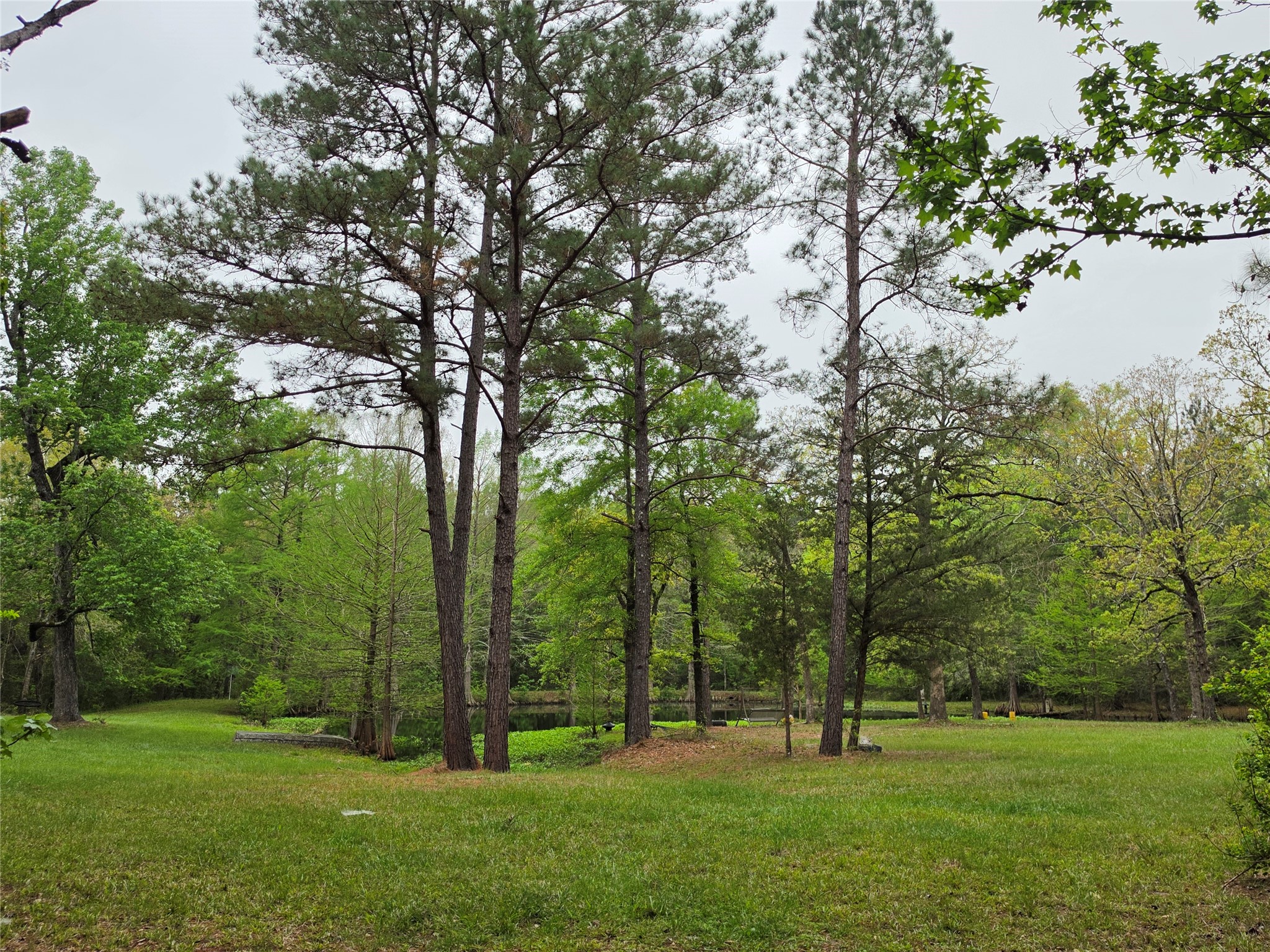 186 Blythe Road Lufkin, TX 75901 - Photo 24 of 29 a green field with lots of trees