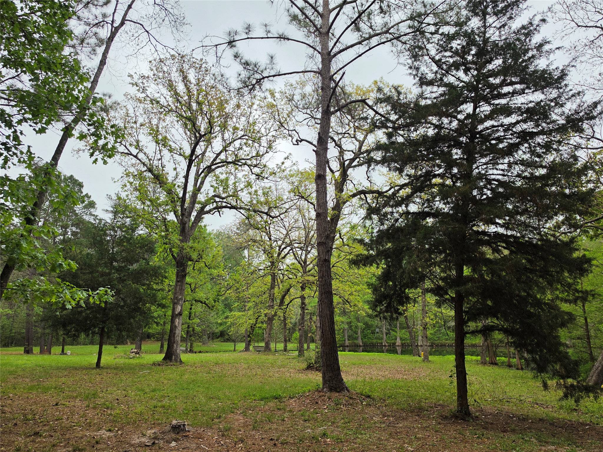 186 Blythe Road Lufkin, TX 75901 - Photo 26 of 29 a view of a park with large trees