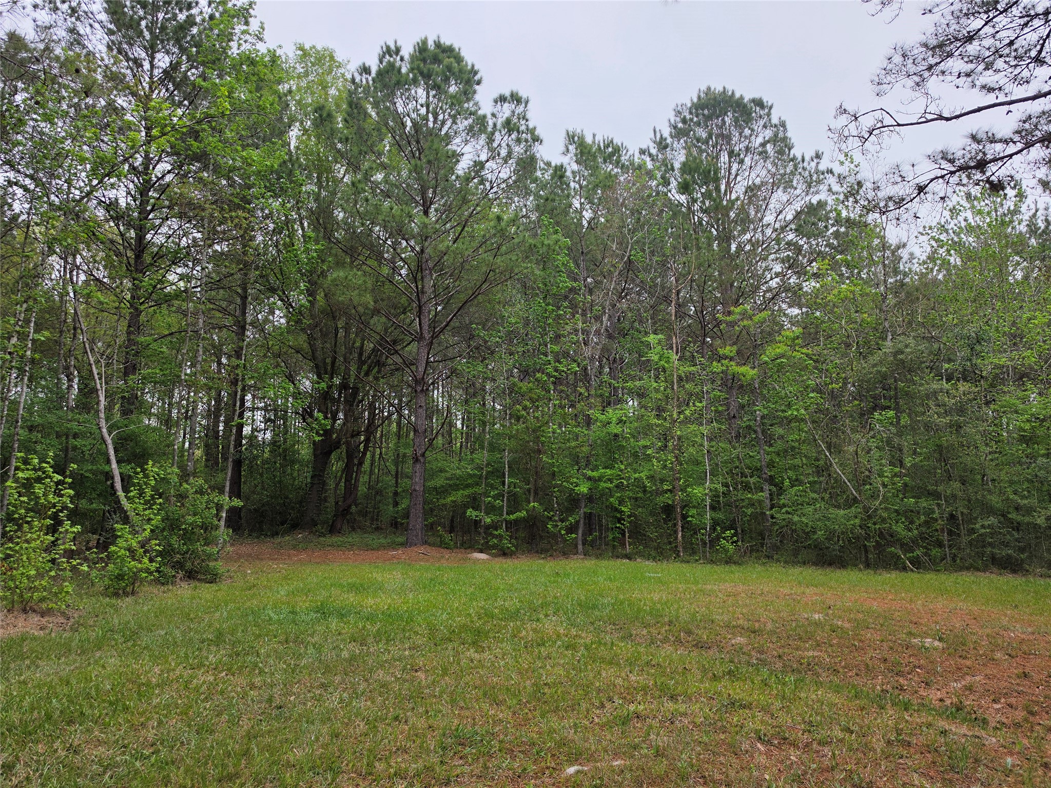 186 Blythe Road Lufkin, TX 75901 - Photo 10 of 29 a view of outdoor space and yard