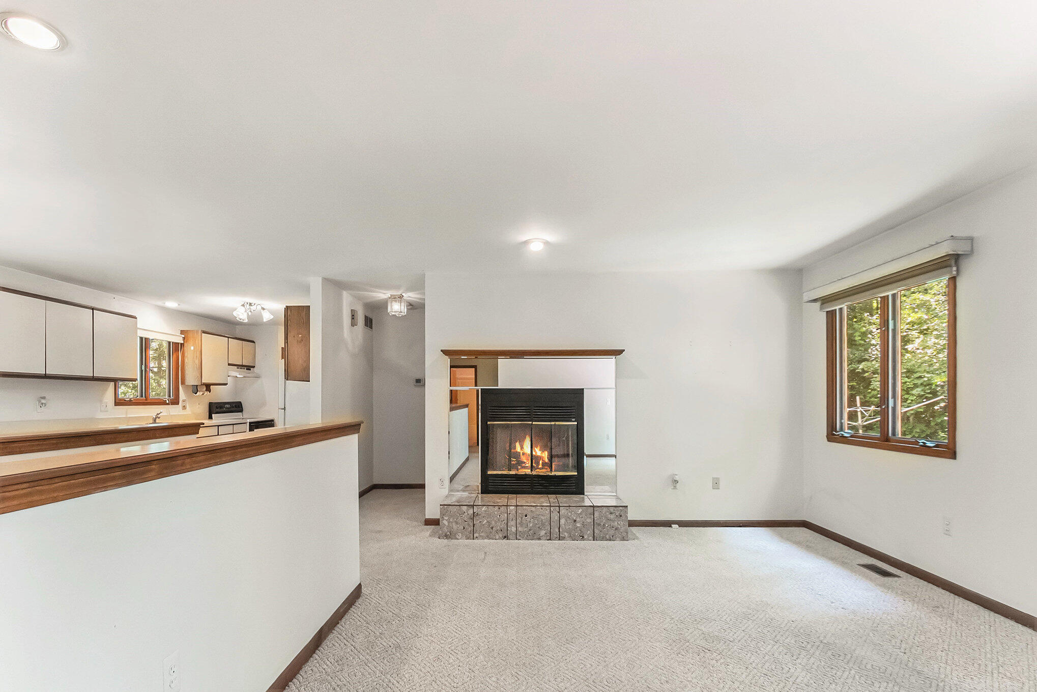 4104 Rurik Drive Howell, MI 48843 - Photo 13 of 39 013__ndp1859_891