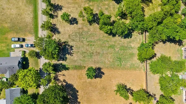 a view of a tree with a yard