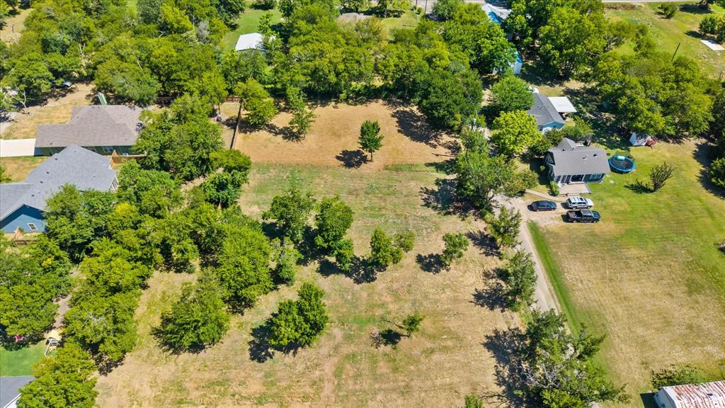 405 3rd Street Commerce, TX 75428 - Photo 15 of 26 a view of a tree with a yard