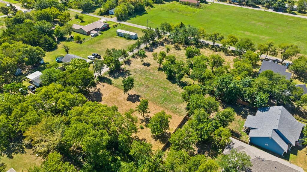 405 3rd Street Commerce, TX 75428 - Photo 19 of 26 a view of a bunch of flowers