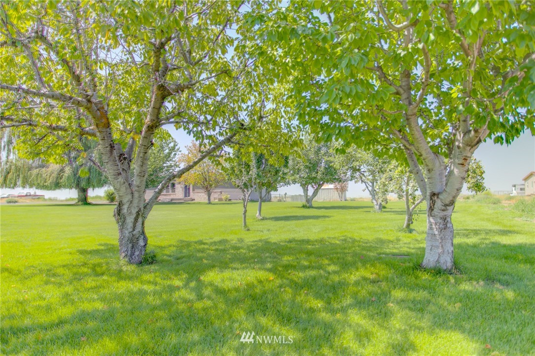 3822 Rd F Northeast Moses Lake, WA 98837 - Photo 6 of 25 Gallery Image 6