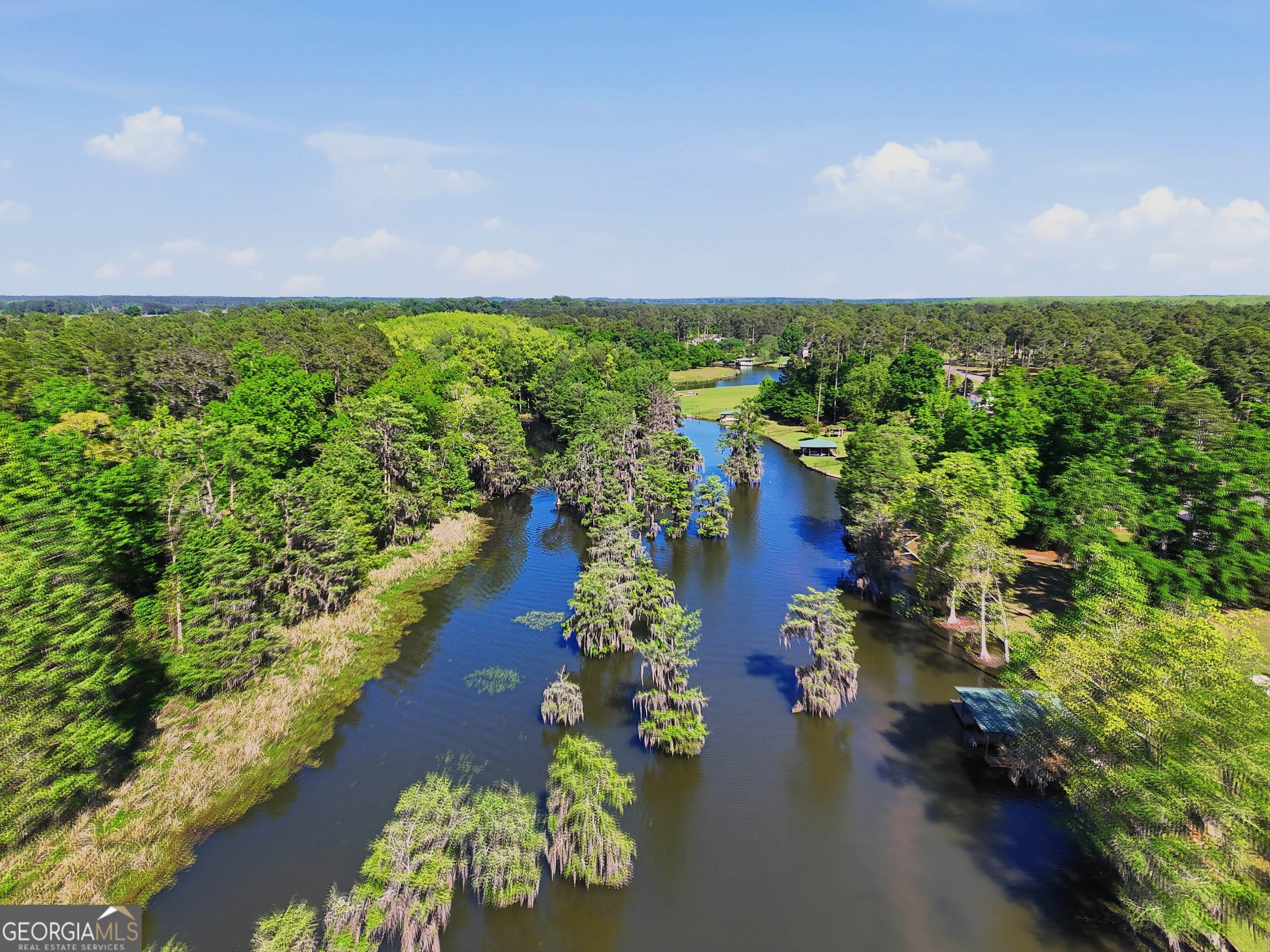 0 Cannon Road Cordele, GA 31015 - Photo 5 of 13