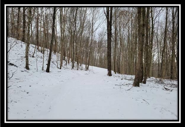 0 Number 12 Hollow Road Wellston, OH 45692 - Photo 25 of 45 image025