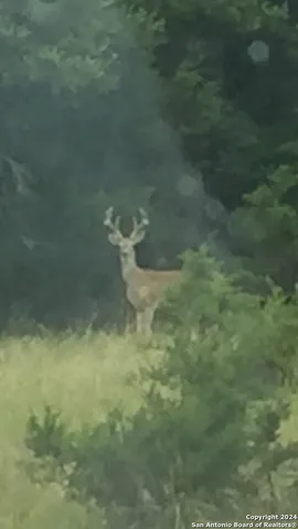 $299,900 | 325 Vista View Drive, Boerne, TX 78006