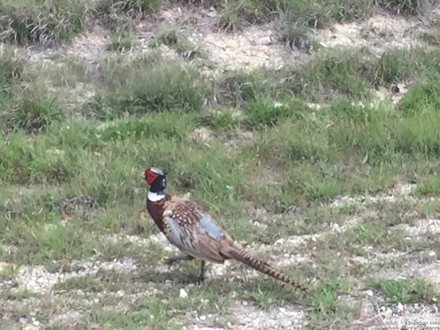 $299,900 | 325 Vista View Drive, Boerne, TX 78006