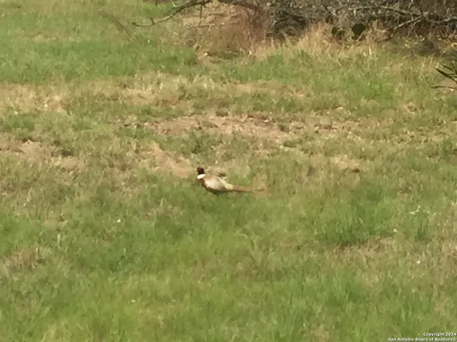 $299,900 | 325 Vista View Drive, Boerne, TX 78006