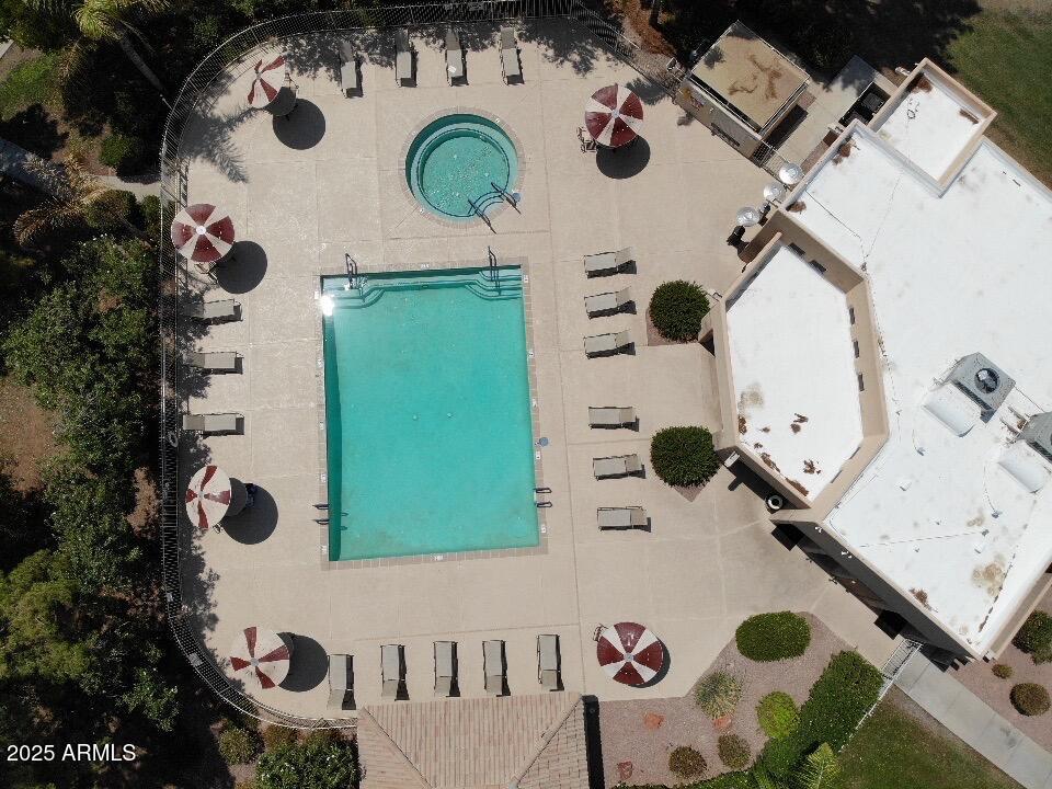 14300 West Bell Road, Unit 381 Surprise, AZ 85374 - Photo 54 of 58 Zunipool